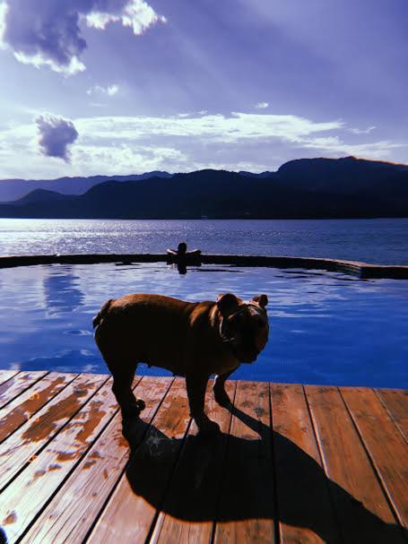 Magnifica Costeira * Ilhabela